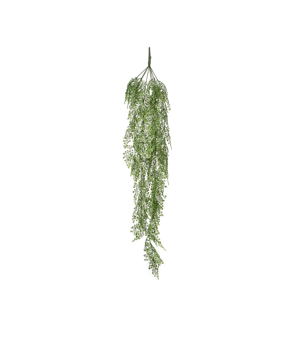 emmezeta, Viseća biljka Adianthum 105 cm, 15,99 €