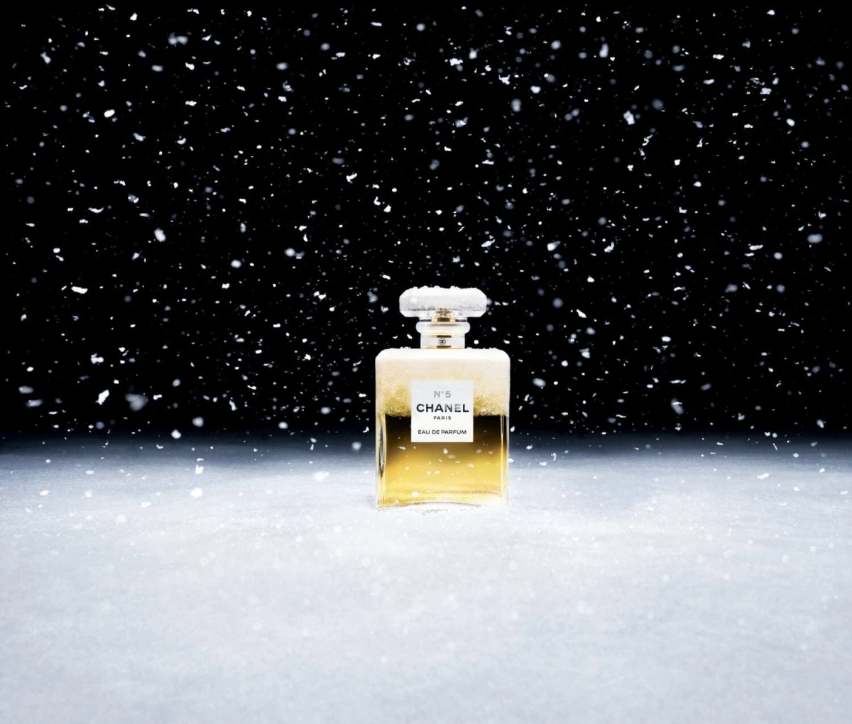 Chanel Holiday