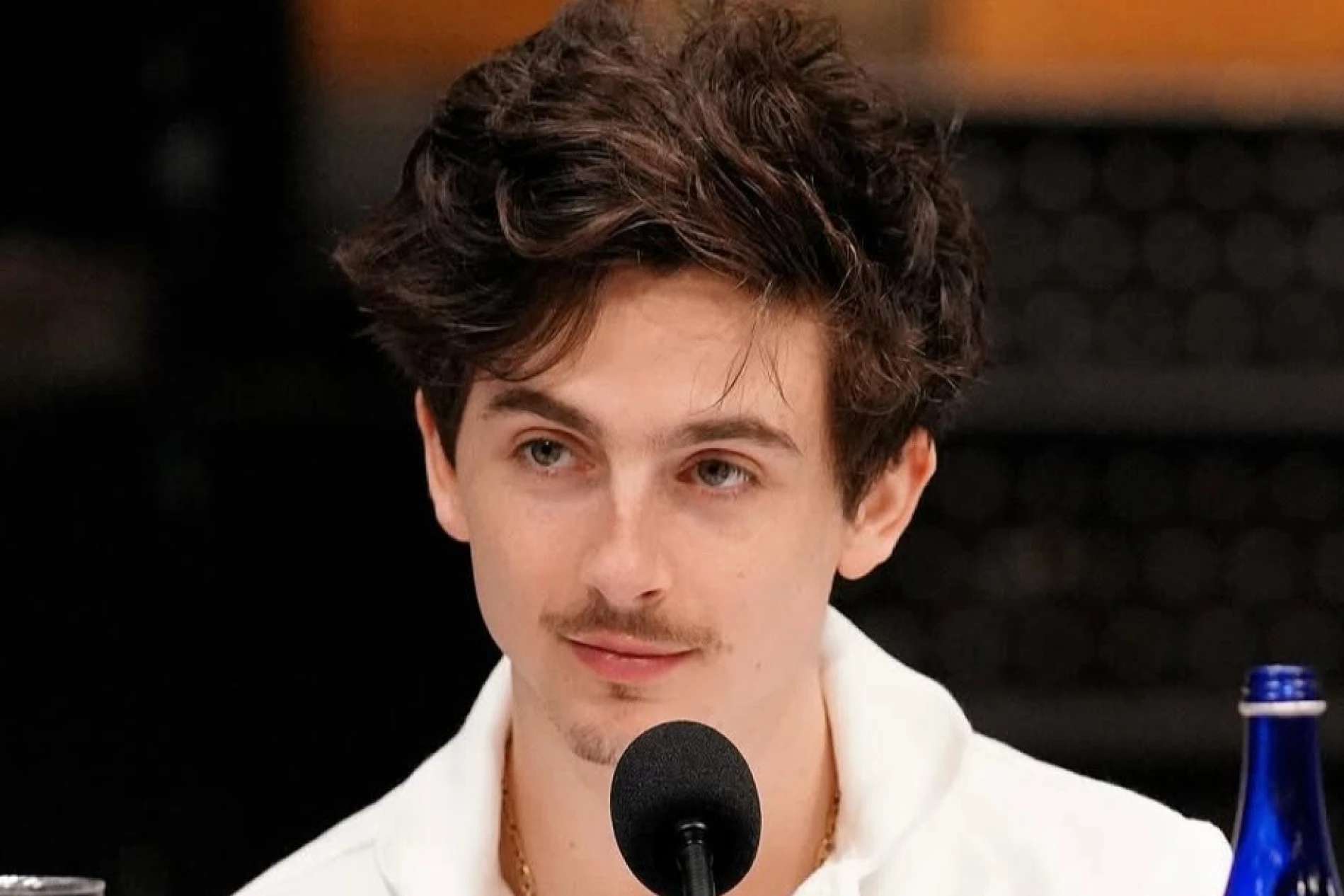 timothee chalamet