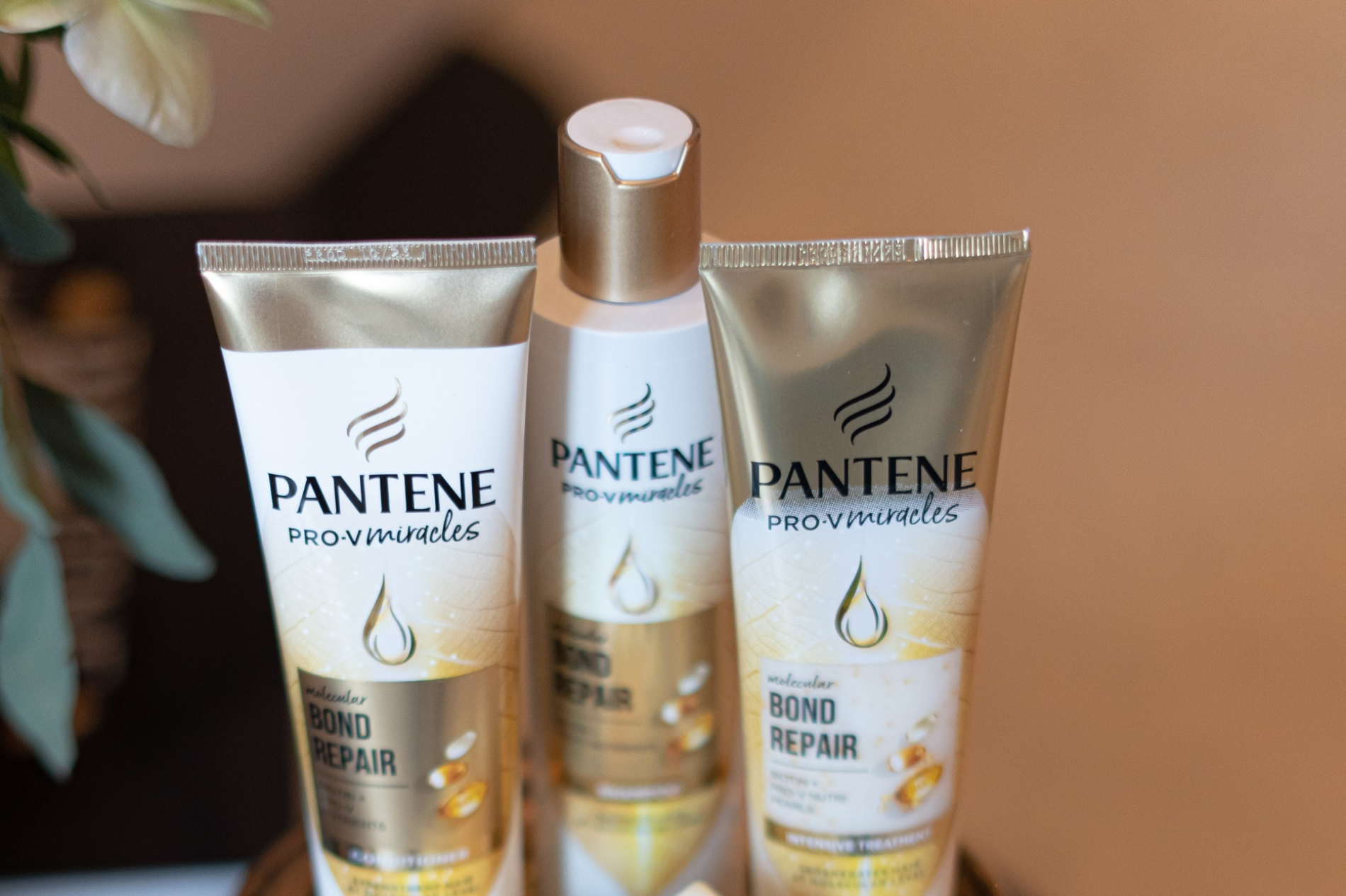 Pantene 