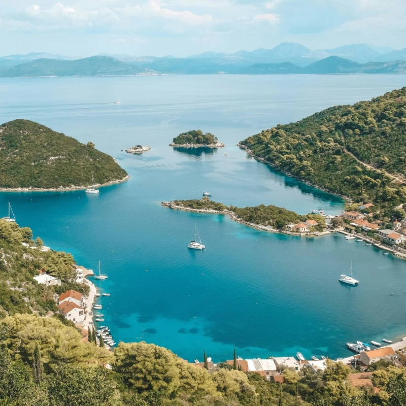 mljet